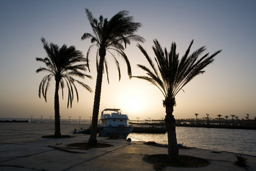 Similar image 1034929