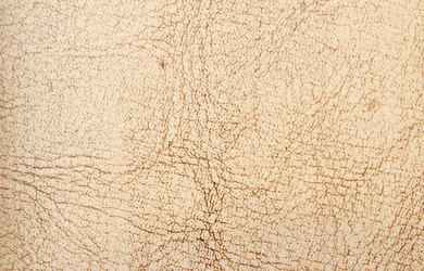 Similar image 1034982