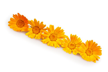 Similar image 1034985