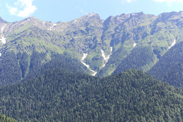 Similar image 1034989