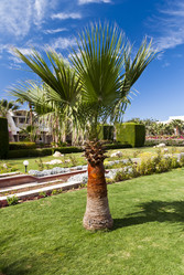 Similar image 1035051