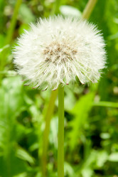 Similar image 1035063