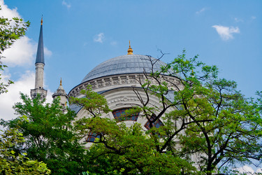 Similar image 1035080