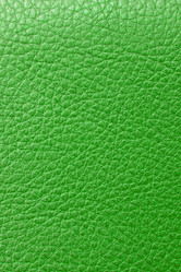 Similar image 1035083