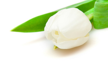 Similar image 1035086