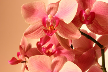 Similar image 1035139