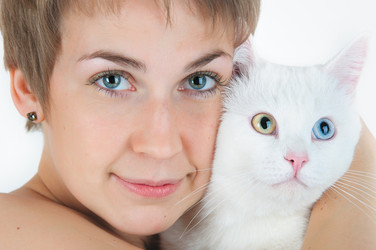 Similar image 1035144