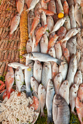 Similar image 1035159