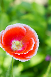 Similar image 1035163