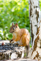 Similar image 1035173