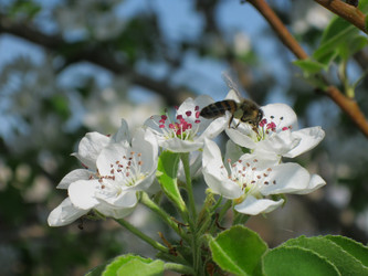 Similar image 1035177