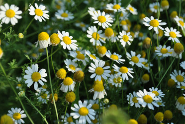 Similar image 1035293