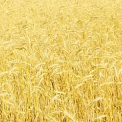 Similar image 1035294