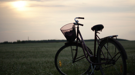 Similar image 1035379