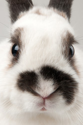 Similar image 1035521