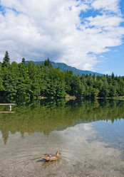 Similar image 1035656