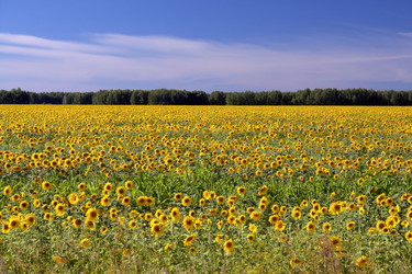 Similar image 1035674