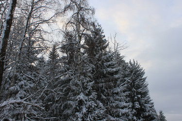 Similar image 1035743