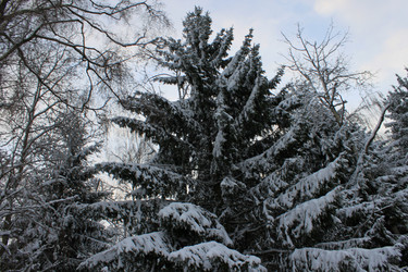 Similar image 1035744