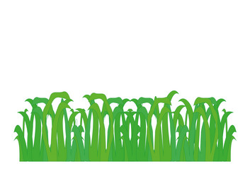 Similar image 1035898