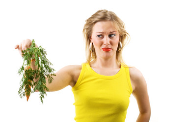 Similar image 1035959