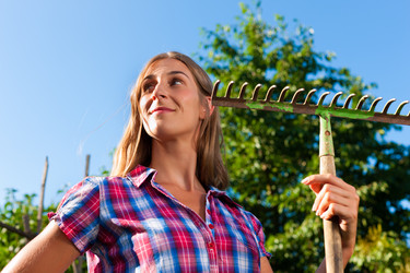 Similar image 1035998