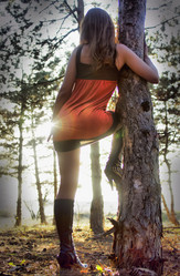 Similar image 1036000