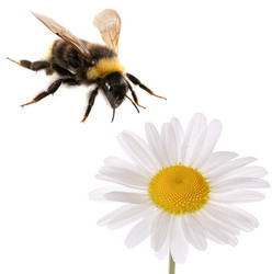 Similar image 1036011