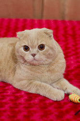 Similar image 1036060