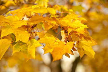 Similar image 1036079