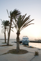 Similar image 1036205