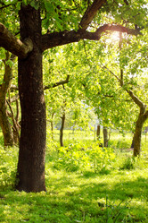 Similar image 1036231