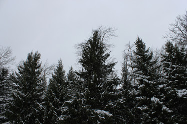 Similar image 1036249