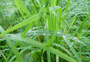 Similar image 1036262