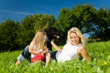 Similar image 1036272