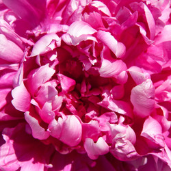 Similar image 1036334