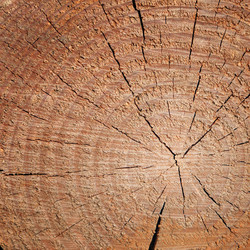 Similar image 1036344