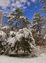 Similar image 1036347