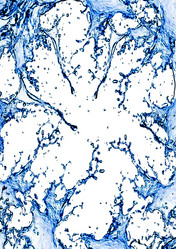 Similar image 1036394