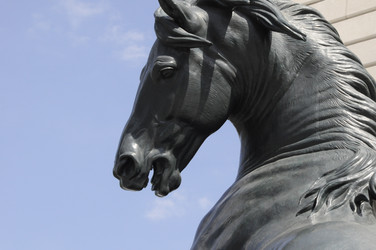 Similar image 1036432