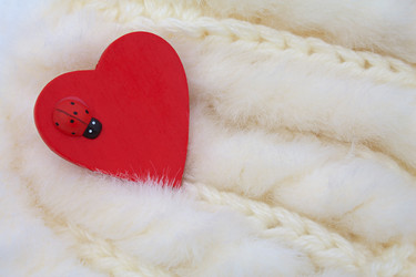 Similar image 1036543