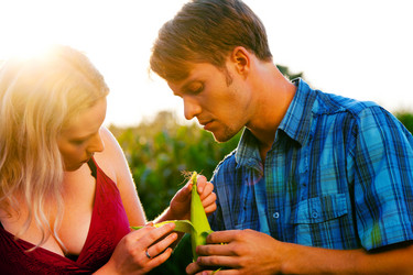 Similar image 1036568