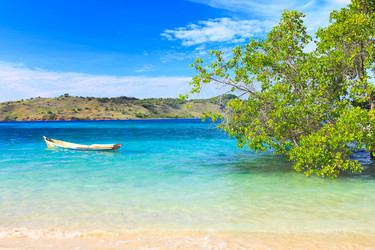 Similar image 1036604