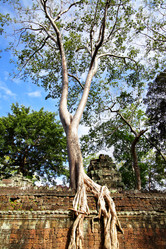 Similar image 1036628