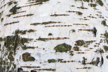 Similar image 1036641