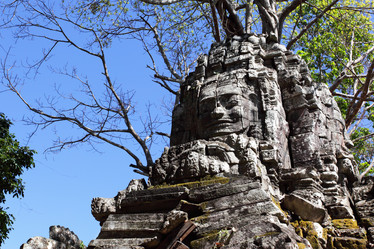 Similar image 1036642