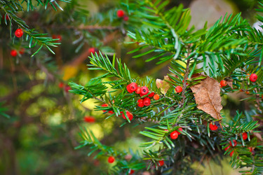 Similar image 1036710