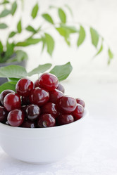 Similar image 1036717