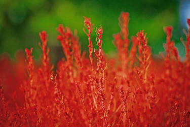 Similar image 1036720