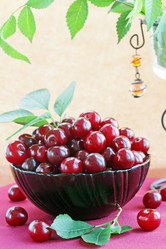 Similar image 1036724